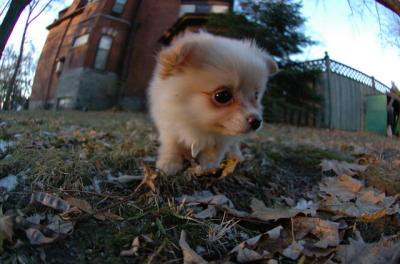 Dec7f_05_107.JPG