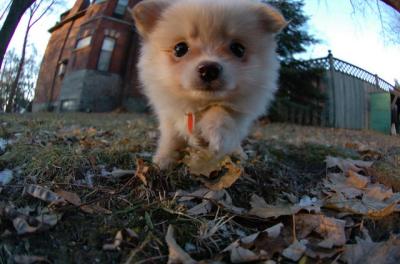 Dec7f_05_108.JPG