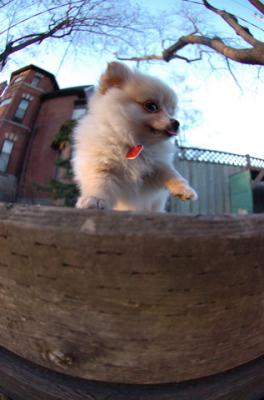 Dec7f_05_117.JPG