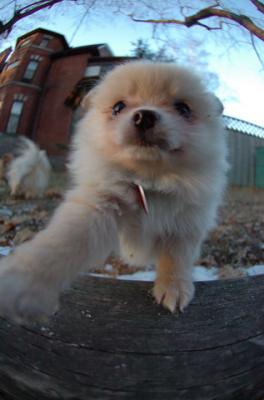 Dec7f_05_119.JPG