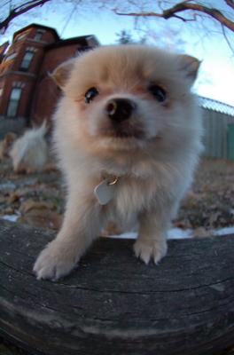 Dec7f_05_120.JPG