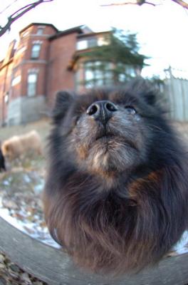 Dec7f_05_121.JPG