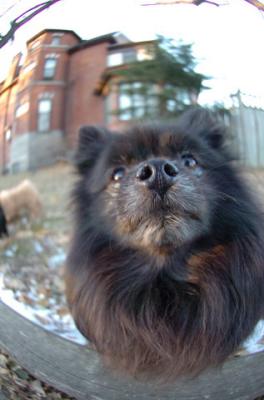 Dec7f_05_122.JPG