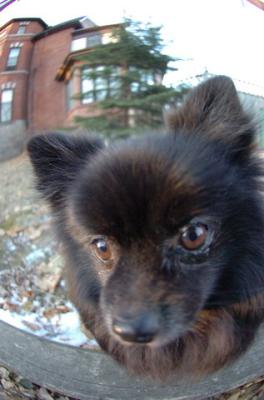 Dec7f_05_125.JPG