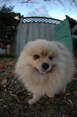 Dec7f_05_128.JPG