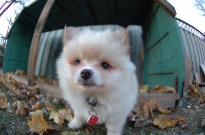 Dec7f_05_145.JPG