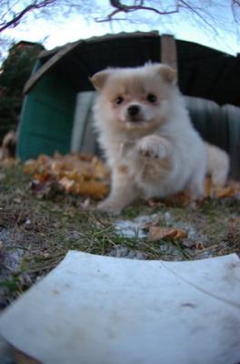 Dec7f_05_154.JPG
