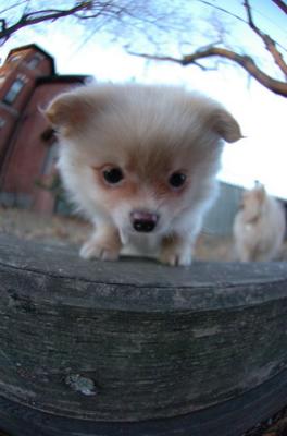 Dec7f_05_156.JPG