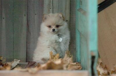 Dec7_05_491.JPG