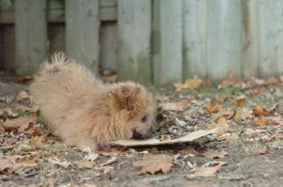 Dec7_05_537.JPG