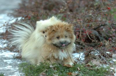 Dec7_05_239.JPG