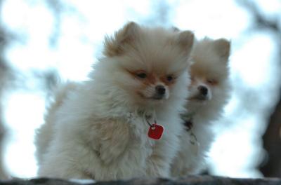 Dec7_05_325.JPG