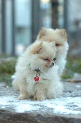 Dec7_05_339.JPG
