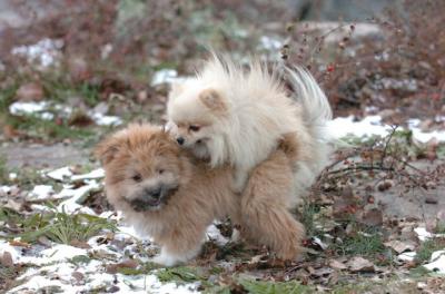 Dec7_05_378.JPG