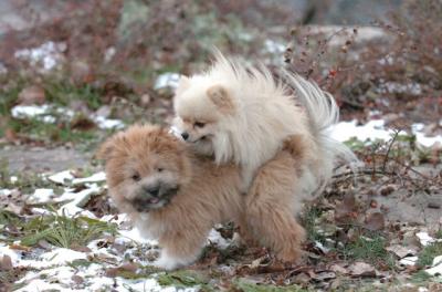 Dec7_05_379.JPG