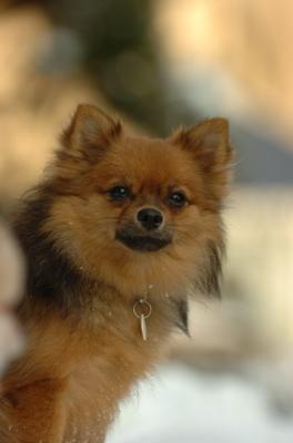 Dec9_05_1617.JPG