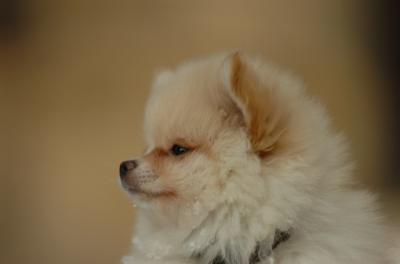 Dec9_05_1630.JPG