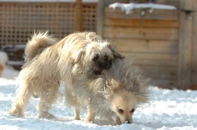 Dec9_05_1247.JPG