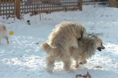 Dec9_05_1251.JPG