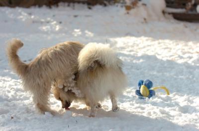 Dec9_05_1253.JPG