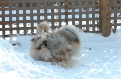 Dec9_05_1268.JPG