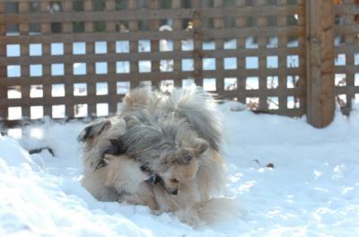 Dec9_05_1269.JPG