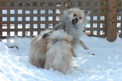 Dec9_05_1270.JPG