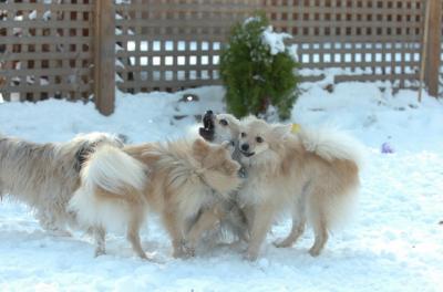 Dec9_05_1272.JPG