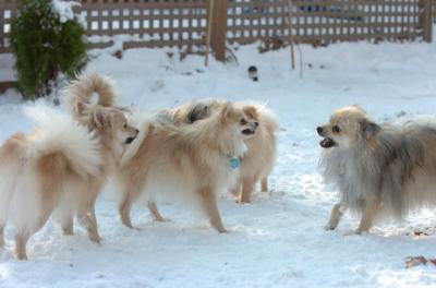 Dec9_05_1277.JPG