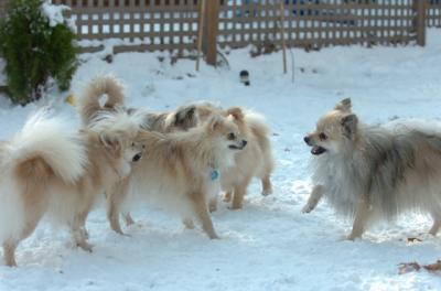 Dec9_05_1278.JPG