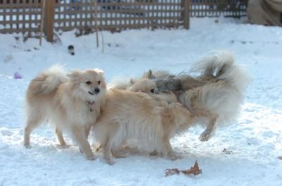 Dec9_05_1283.JPG