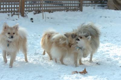 Dec9_05_1286.JPG