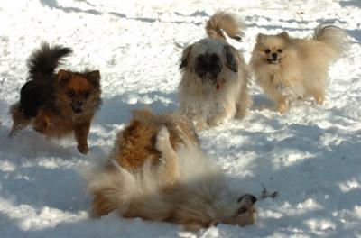 Dec9_05_0769.JPG