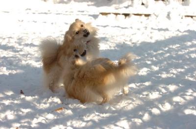 Dec9_05_0770.JPG