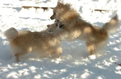 Dec9_05_0771.JPG