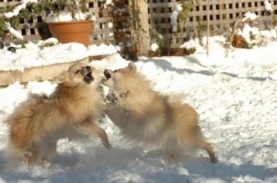 Dec9_05_0773.JPG