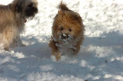 Dec9_05_0776.JPG