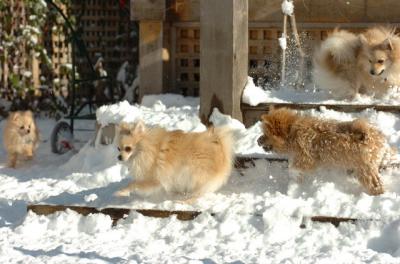 Dec9_05_0777.JPG