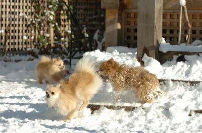 Dec9_05_0778.JPG