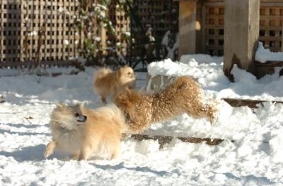 Dec9_05_0779.JPG