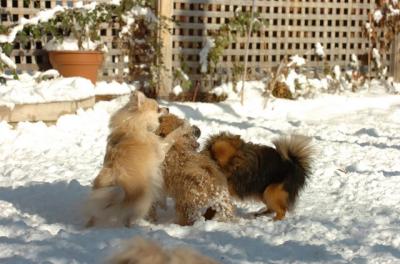 Dec9_05_0780.JPG