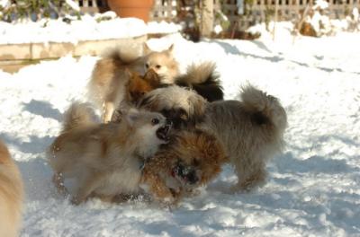 Dec9_05_0782.JPG