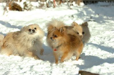 Dec9_05_0786.JPG
