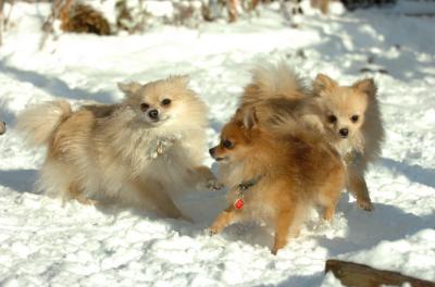 Dec9_05_0787.JPG