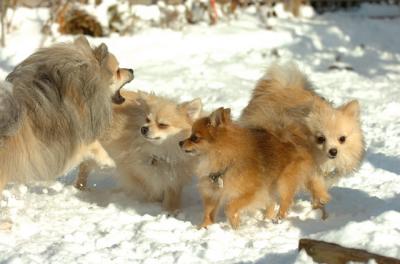 Dec9_05_0788.JPG