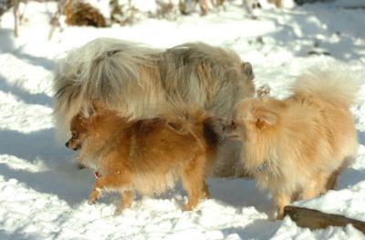 Dec9_05_0789.JPG
