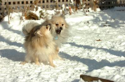 Dec9_05_0790.JPG