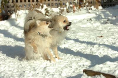 Dec9_05_0791.JPG