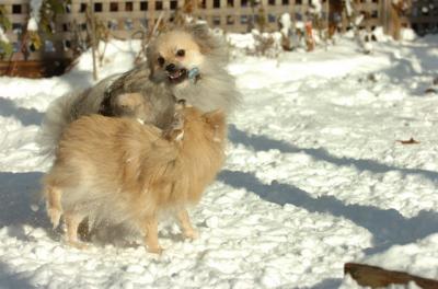 Dec9_05_0792.JPG