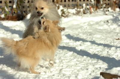 Dec9_05_0793.JPG
